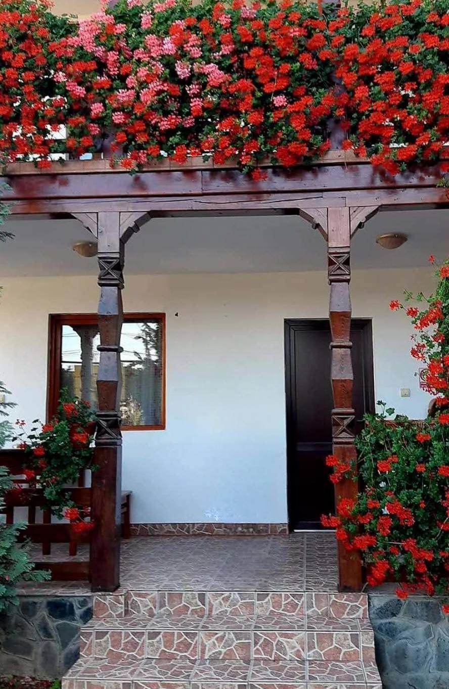 Cris & Mona Hotel Sapinta Exterior photo
