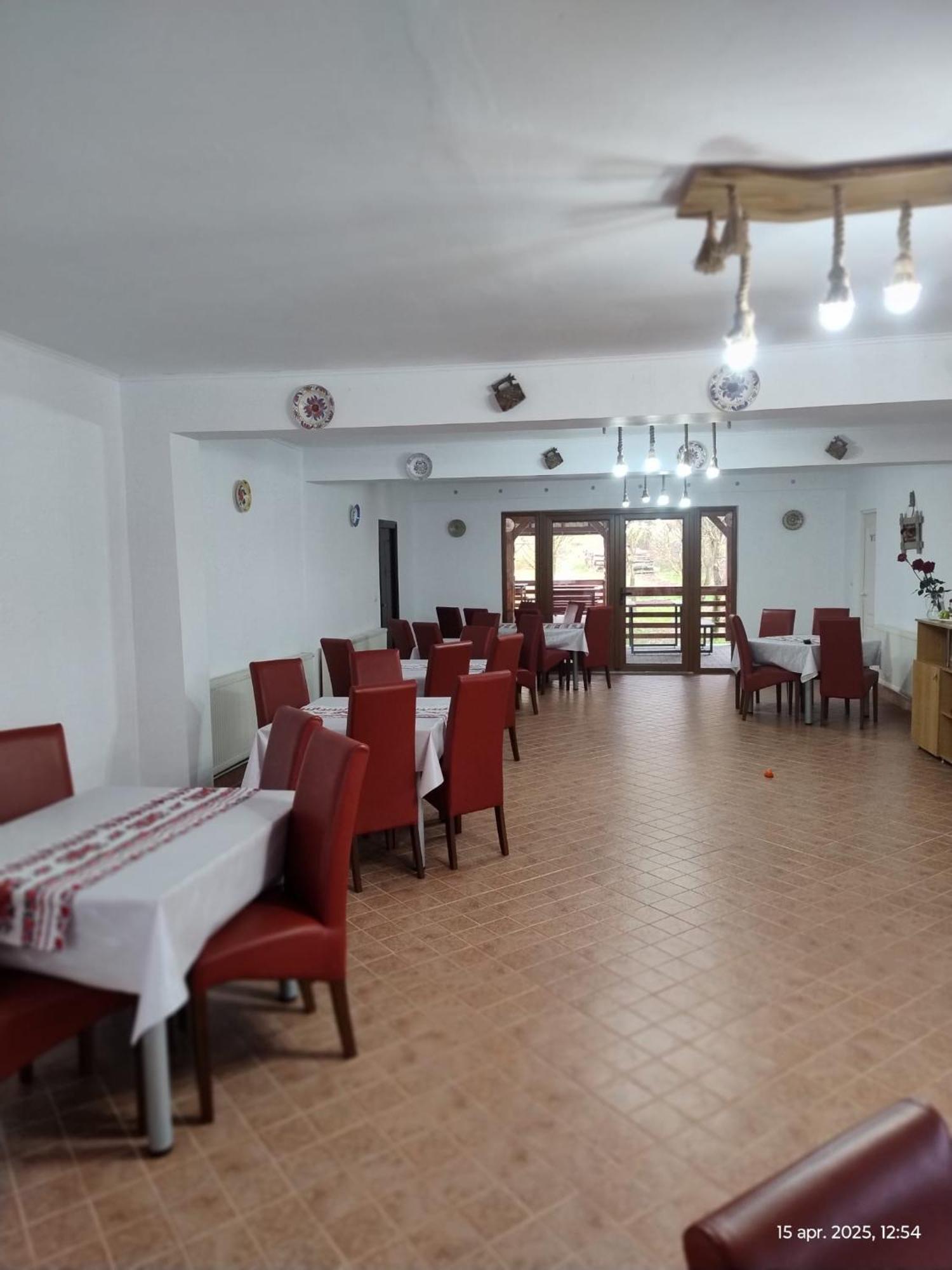 Cris & Mona Hotel Sapinta Exterior photo